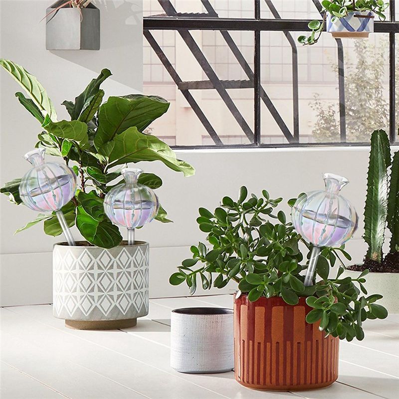 AA94-Plant Watering Bulbs Plan - Self-Watering Planter recension och pris
